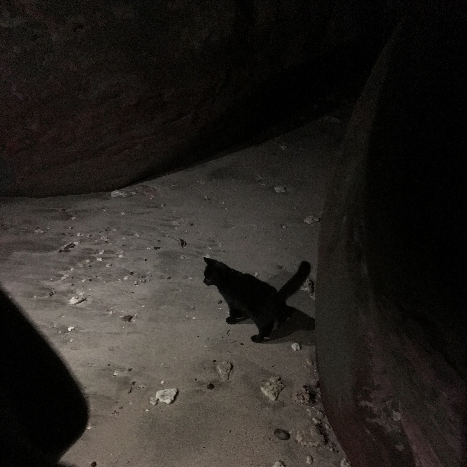 革命前夜の出来事